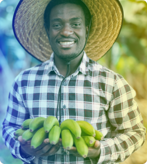 banana farmer