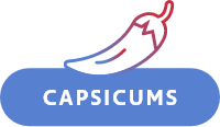 icon capsicums new