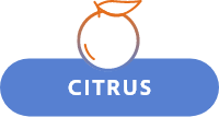 icon citrus new