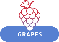 icon grapes