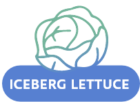 icon iceberg lettuce