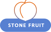icon stone fruit