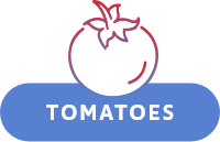 icon tomatoes